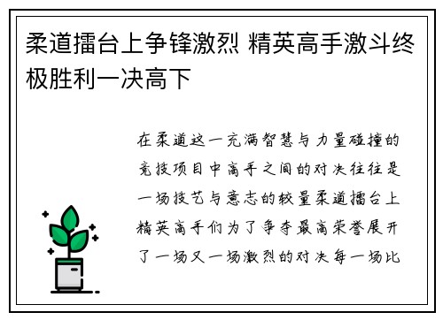 柔道擂台上争锋激烈 精英高手激斗终极胜利一决高下