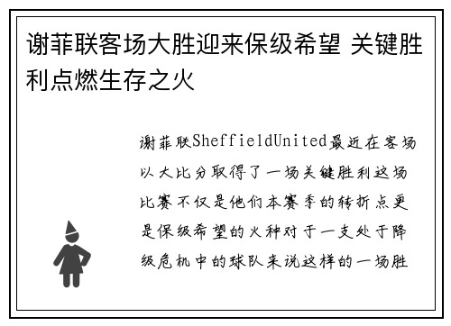 谢菲联客场大胜迎来保级希望 关键胜利点燃生存之火