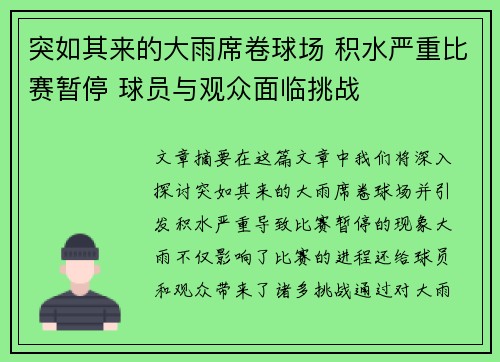 突如其来的大雨席卷球场 积水严重比赛暂停 球员与观众面临挑战